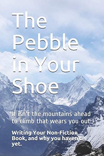 The Pebble in Your Shoe Writing Your Non-fiction Book, and Why You Haven't - Yet.