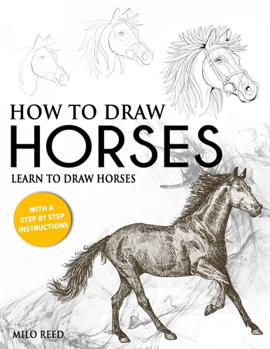 How to Draw Horses Learn to Draw Horses with a Step by Step Instructions