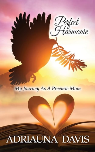 Perfect Harmonie My Journey as a Preemie Mom