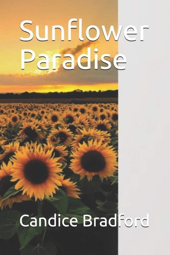 Sunflower Paradise