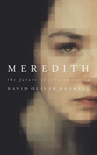 Meredith The Future of Silicon Valley