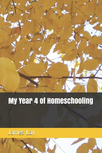 My Year 4 of Homeschooling