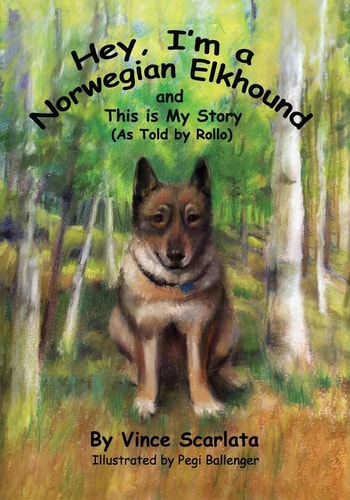 Hey, I'm a Norwegian Elkhound, and This is My Story As Told By Rollo