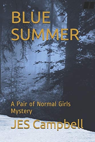 Blue Summer A Pair of Normal Girls Mystery