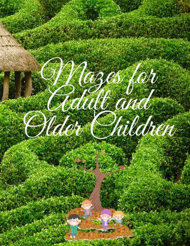 Mazes for Adult and Older Children Amazing Maze Activity Book for Adult and Older Children . Workbook for Fun, Games, Puzzles, Spatial Awareness and Problem-Solving.