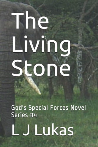 The Living Stone God's Special Forces Novel Series #4