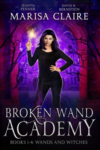 Broken Wand Academy Books 1-4: Wands and Witches Box Set (Veiled World)