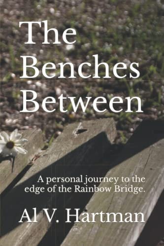 The Benches Between A Journey in Self-Awareness