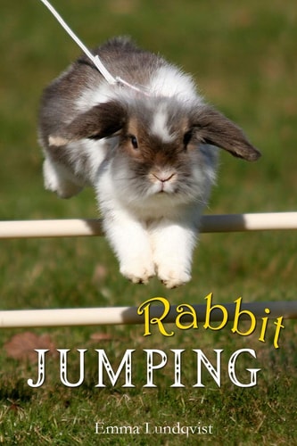 Rabbit Jumping How to Teach Your Rabbit to Jump
