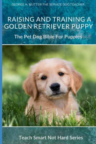 Raising And Training A Golden Retriever Puppy The Pet Dog Bible For Puppies