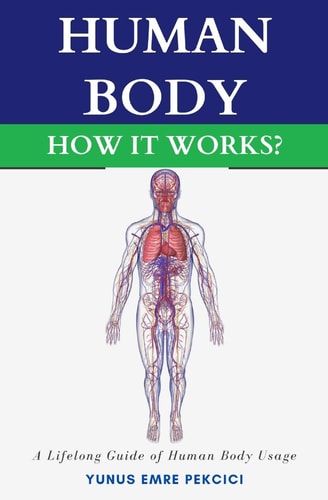 Human Body How It Works?