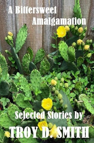 A Bittersweet Amalgamation Selected Short Stories