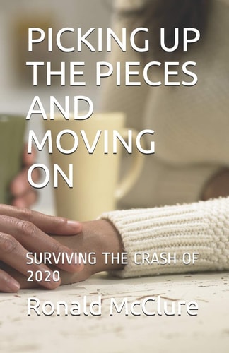 Picking Up the Pieces and Moving on Surviving the Crash of 2020