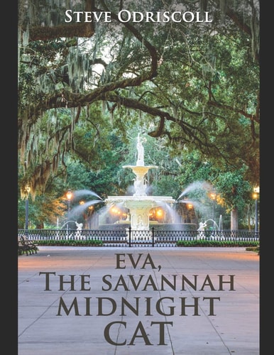 Eva, The Savannah Midnight Cat N/A