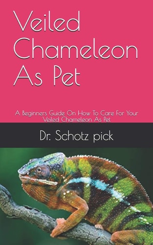Veiled Chameleon As Pet A Beginners Guide On How To Care For Your Veiled Chameleon As Pet