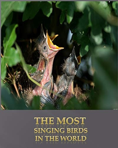 The Most Singing Birds in the World The 20 Most Singing Birds in the World and the 5 Most Popular Domestic and Singing Birds.