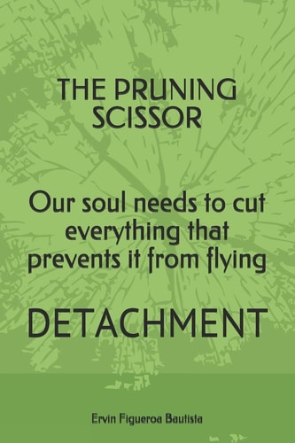 Pruning Scissors