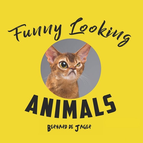 Funny Looking Animals Funny Animal Faces, Made to Smile, Look Funny Or Just Look Weird.