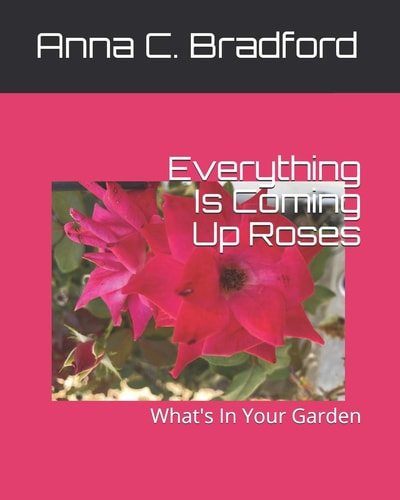 Everything Is Coming Up Roses What's In Your Garden?
