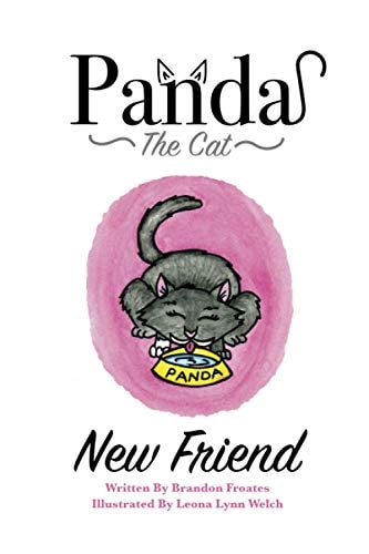Panda The Cat New Friend
