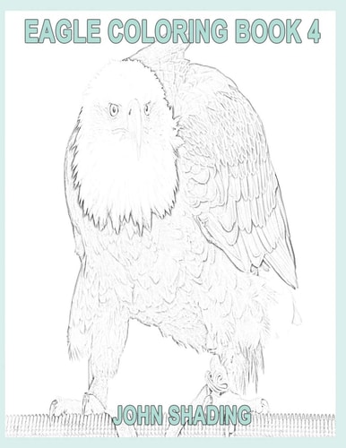 Eagle Coloring Book 4