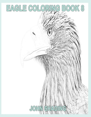 Eagle Coloring Book 8