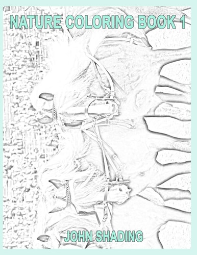Nature Coloring Book 1