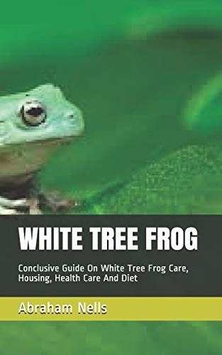 White Tree Frog Conclusive Guide On White Tree Frog Care, Housing, Health Care And Diet