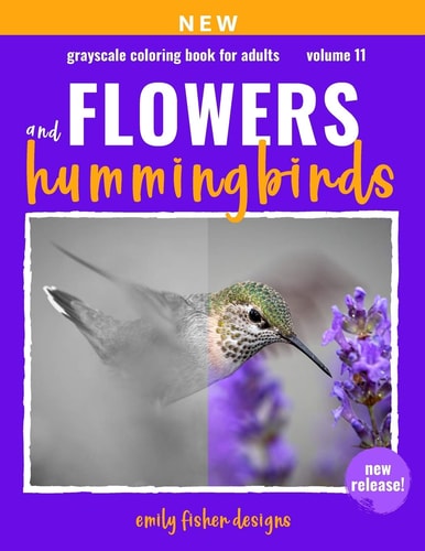 Flower & Hummingbird Grayscale Coloring Book For Adults Beautiful Nature Grayscale Coloring Book With Color Guide Wonderful Nature Scenes For Relaxation Unique Images for Realistic Photo Coloring Black Divider Pages Framed Beginner Thru Expert