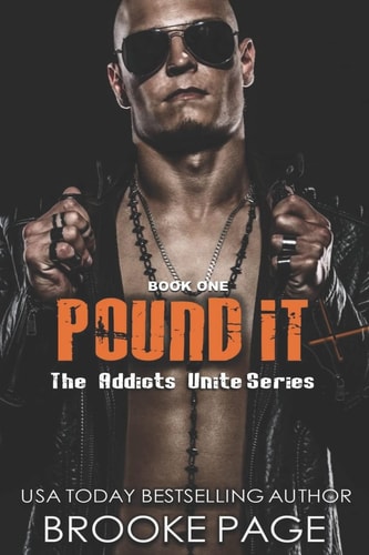 Pound It Book One: Addicts Unite Rock Star Series