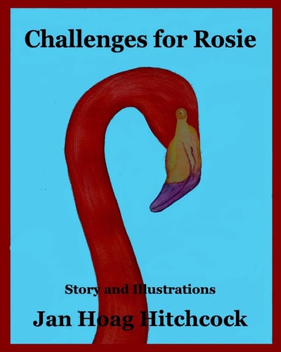 Challenges for Rosie