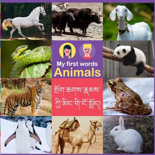 My First Words Animal Bilingual (Tibetan and English)