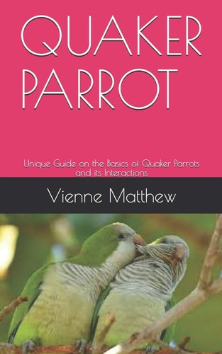 Quaker Parrot Unique Guide on the Basics of Quaker Parrots and Its Interactions