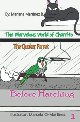 The Marvelous World of Churrito The Quaker Parrot