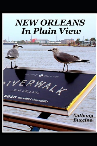 NEW ORLEANS IN PLAIN VIEW.