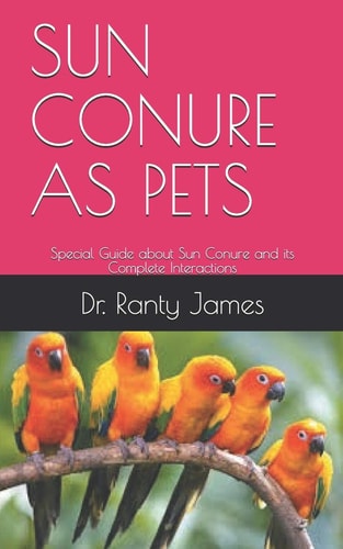 Sun Conure as Pets Special Guide about Sun Conure and Its Complete Interactions