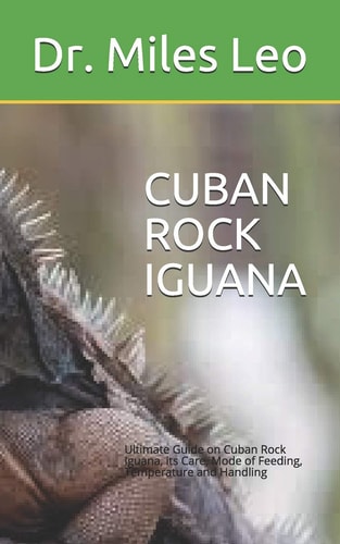 Cuban Rock Iguana Ultimate Guide on Cuban Rock Iguana, Its Care, Mode of Feeding, Temperature and Handling