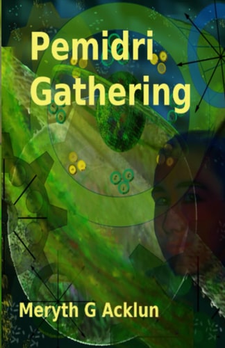 Pemidri Gathering