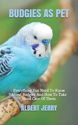 Budgies as Pet Everything You Need To Know About Budgies And How To Take Good Care Of Them