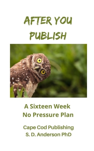 After You Publish A Sixteen Week No Pressure Plan