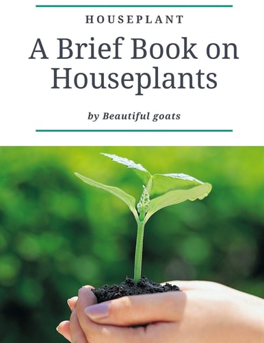 Houseplant A Brief Book about Houseplant - Everything You Need to Know about a Houseplant - Contains ( How Not to Kill Your Houseplants - How to Take Care - Dangerous Houseplants for Children and Pets - ... ... )