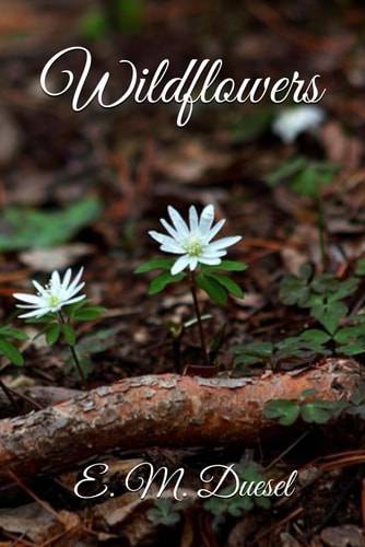 Wildflowers