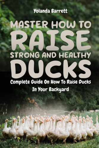 Master How To Raise Strong And Healthy Ducks Complete Guide On How To Raise Ducks In Your Backyard