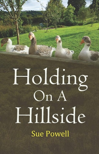 Holding on a Hillside