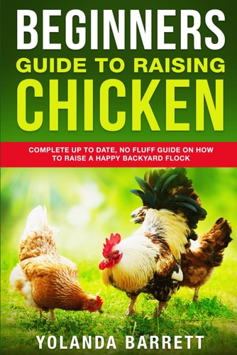 Beginners Guide To Raising Chicken Complete Up To Date, No Fluff Guide On How To Raise A Happy Backyard Flock
