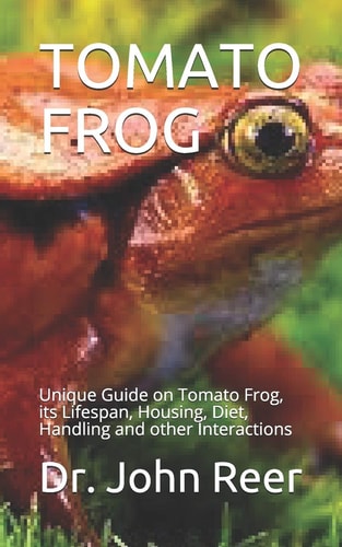 Tomato Frog Unique Guide on Tomato Frog, Its Lifespan, Housing, Diet, Handling and Other Interactions