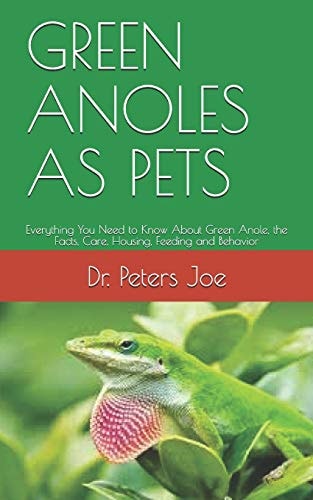 Green Anoles as Pets Everything You Need to Know About Green Anole, the Facts, Care, Housing, Feeding and Behavior