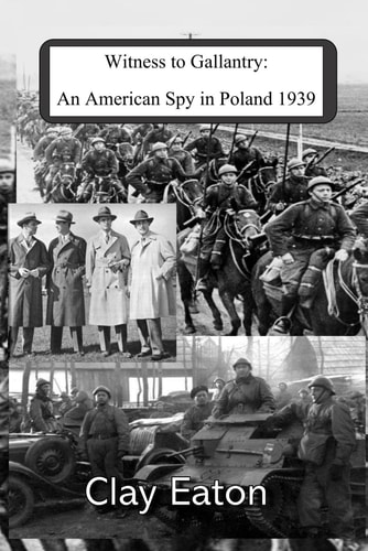 Witness to Gallantry An American Spy in Poland 1939