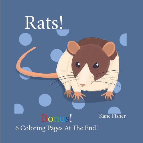 Rats! A Book For Toddlers