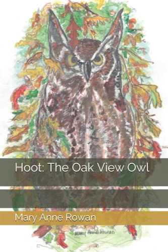 Hoot The Oak View Owl